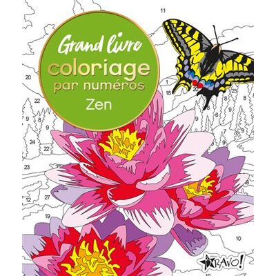 Bravo GRAND LIVRE ZEN Bravo GRAND LIVRE ZEN