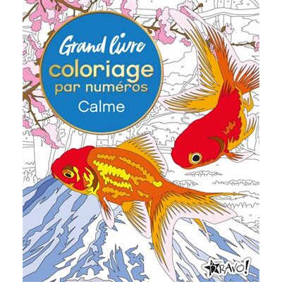 Bravo GRAND LIVRE COLORIAGE PAR NUMEROS CALME Bravo GRAND LIVRE COLORIAGE PAR NUMEROS CALME