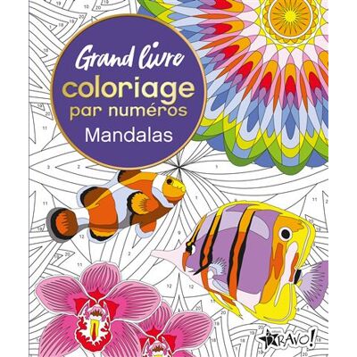 Bravo GRAND LIVRE COLORIAGE PAR NUMEROS MANDALAS Bravo GRAND LIVRE COLORIAGE PAR NUMEROS MANDALAS