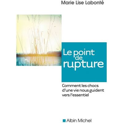 Albin Michel LE POINT DE RUPTURE Albin Michel LE POINT DE RUPTURE