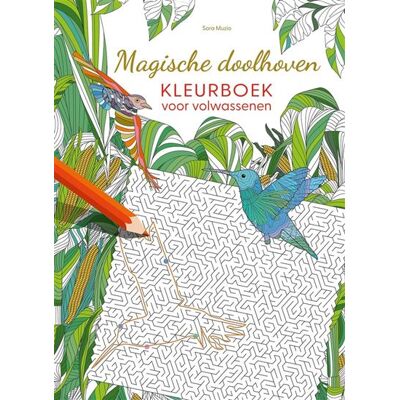 Zuidnederlandse Uitgeverij (ZNU) Magische doolhoven - kleurboek voor volwassenen Zuidnederlandse Uitgeverij (ZNU) Magische doolhoven - kleurboek voor volwassenen