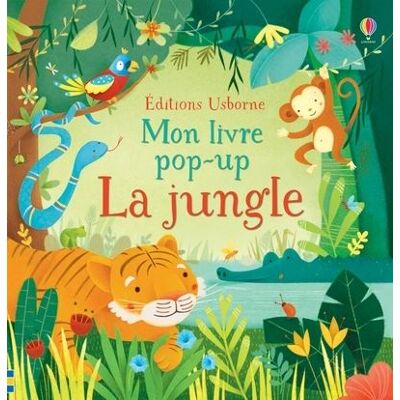Usborne Mon livre pop-up Usborne Mon livre pop-up