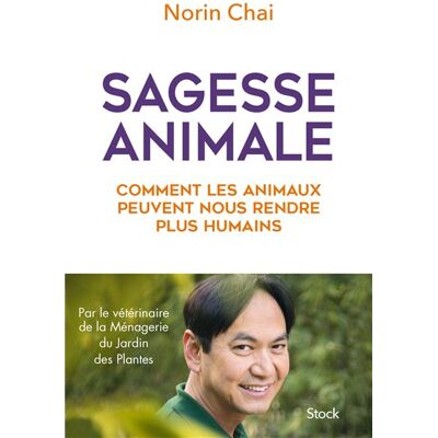 Stock Sagesse animale comment les animaux peuvent nous rendre plus Stock Sagesse animale comment les animaux peuvent nous rendre plus