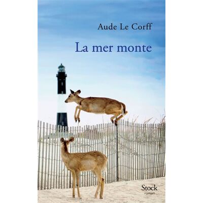 Stock La mer monte Stock La mer monte