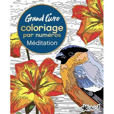 Bravo MEDITATION GRAND LIVRE DE COLORIAGE Bravo MEDITATION GRAND LIVRE DE COLORIAGE