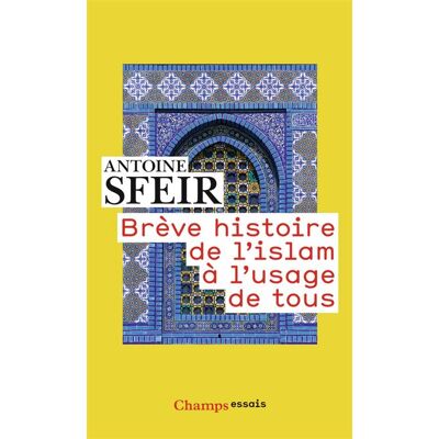 Flammarion Brève histoire de l'Islam à l'usage de tous Flammarion Brève histoire de l'Islam à l'usage de tous