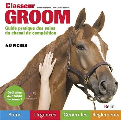 Belin Classeur Groom Belin Classeur Groom