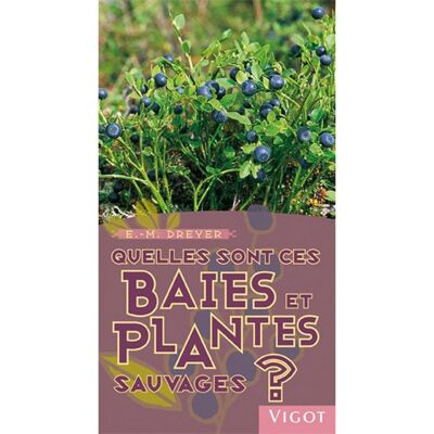 Vigot Quelles sont ces baies et plantes sauvages ? Vigot Quelles sont ces baies et plantes sauvages ?