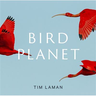 Abrams Bird Planet Abrams Bird Planet