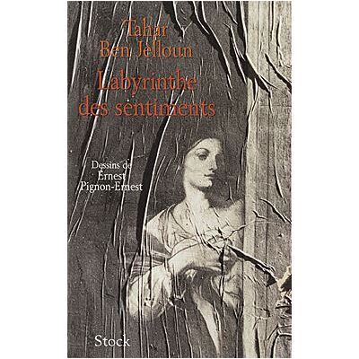 Stock Labyrinthe des sentiments Stock Labyrinthe des sentiments