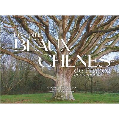 Albin Michel LES PLUS BEAUX CHENES DE FRANCE Albin Michel LES PLUS BEAUX CHENES DE FRANCE