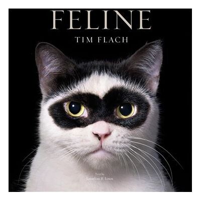 Abrams Feline Abrams Feline