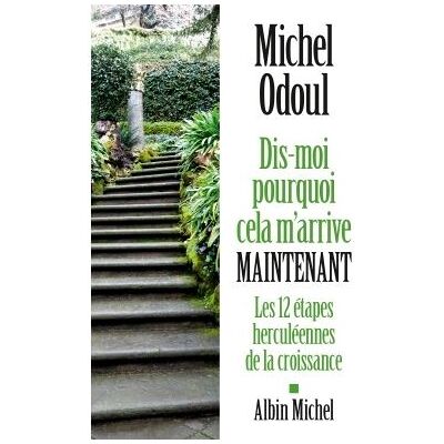 Albin Michel DIS-MOI POURQUOI CELA M'ARRIVE MAINTENANT LES 12 ETAPES HERC Albin Michel DIS-MOI POURQUOI CELA M'ARRIVE MAINTENANT LES 12 ETAPES HERC