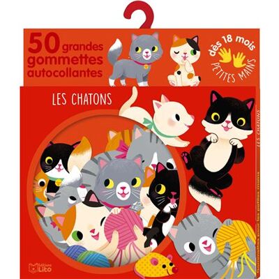 Lito Les chatons Lito Les chatons