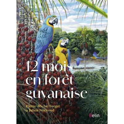 Belin 12 MOIS EN FORET GUYANAISE Belin 12 MOIS EN FORET GUYANAISE