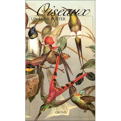 Grund Oiseaux Grund Oiseaux