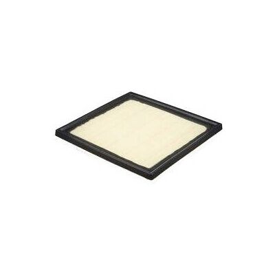 PURFLUX A3039 Luchtfilter PURFLUX A3039 Luchtfilter