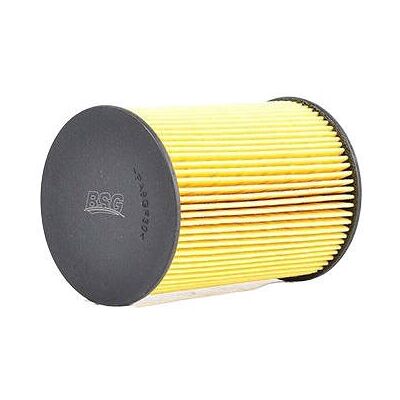 BSG BSG 90-130-005 Brandstoffilter BSG BSG 90-130-005 Brandstoffilter