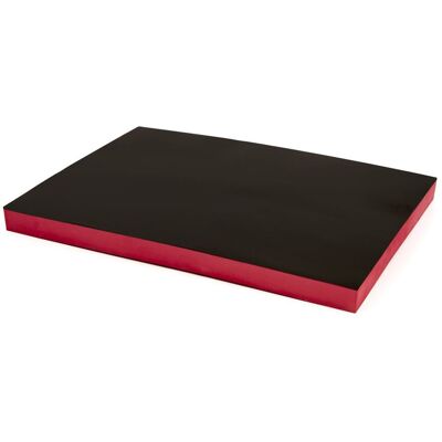 HBM Foam Inlay 585 x 410 x 40 mm voor Gereedschapswagen - ROOD HBM Foam Inlay 585 x 410 x 40 mm voor Gereedschapswagen - ROOD