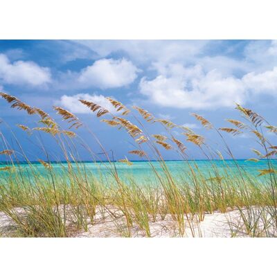 Noordwand Komar Colours Fotobehang Ocean Breeze - 8-515 4036834085155 Behang Noordwand Komar Colours Fotobehang Ocean Breeze - 8-515 4036834085155 Behang