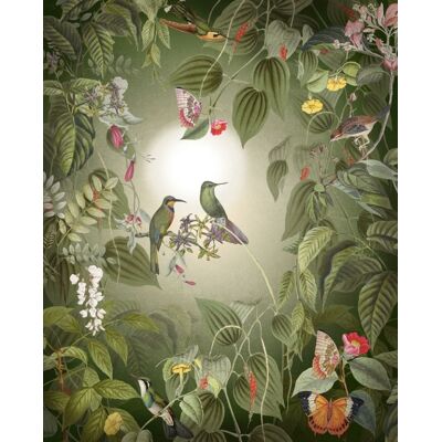 Noordwand Komar Colours Fotobehang Wildlife Birds - X4-1100 4055065311000 Behang Noordwand Komar Colours Fotobehang Wildlife Birds - X4-1100 4055065311000 Behang