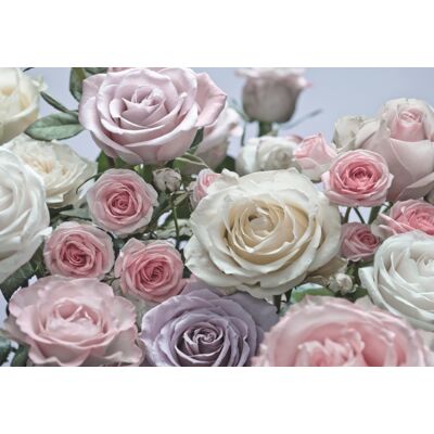 Komar Home; Komar Colours Fotobehang Floraison - 8-736 4036834087364 Behang Komar Home; Komar Colours Fotobehang Floraison - 8-736 4036834087364 Behang