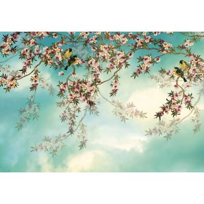 Komar Home; Komar Colours Fotobehang Sakura - 8-213 4036834082130 Behang Komar Home; Komar Colours Fotobehang Sakura - 8-213 4036834082130 Behang
