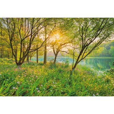 Komar Home; Komar Colours Fotobehang Spring Lake - 8-524 4036834085247 Behang Komar Home; Komar Colours Fotobehang Spring Lake - 8-524 4036834085247 Behang