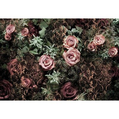 Komar Home; Komar Colours Fotobehang Velvet - 8-980 4036834089801 Behang Komar Home; Komar Colours Fotobehang Velvet - 8-980 4036834089801 Behang