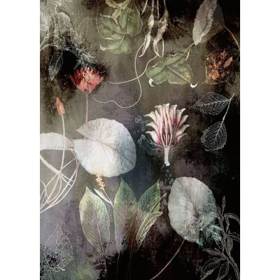 Noordwand Komar Ink Fotobehang Night Flowers - INX4-044 4055065230448 Behang Noordwand Komar Ink Fotobehang Night Flowers - INX4-044 4055065230448 Behang