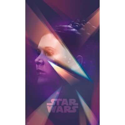 Komar Into Adventure Fotobehang Star Wars - Female Leia - vd-025 4036834790257 Behang Komar Into Adventure Fotobehang Star Wars - Female Leia - vd-025 4036834790257 Behang