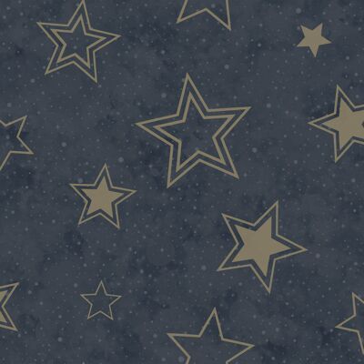 Holden Adventure Awaits - 14061 - Stardust Midnight Blue/Gold 5022976140615 Behang Holden Adventure Awaits - 14061 - Stardust Midnight Blue/Gold 5022976140615 Behang