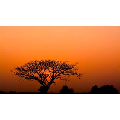 Rasch African Queen 3 - 363647 4000441363647 Behang Rasch African Queen 3 - 363647 4000441363647 Behang
