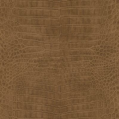 Rasch African Queen 3 - 751314 4000441751314 Behang Rasch African Queen 3 - 751314 4000441751314 Behang