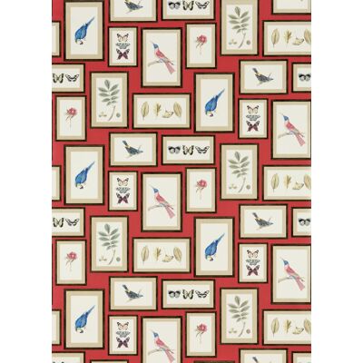 Sanderson One Sixty - 213398 5014496049127 Behang Sanderson One Sixty - 213398 5014496049127 Behang