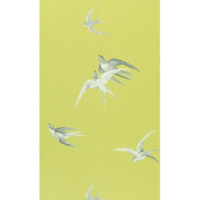 Sanderson One Sixty - DVIWSW101 5014496610396 Behang Sanderson One Sixty - DVIWSW101 5014496610396 Behang