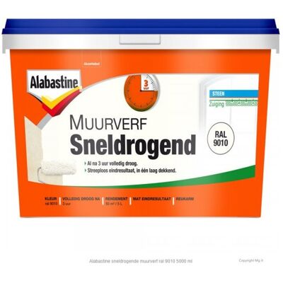 Alabastine Sneldrogende Muurverf - RAL 9010 Alabastine Sneldrogende Muurverf - RAL 9010
