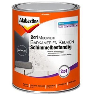 Alabastine 2-in-1 Muurverf Badkamer en Keuken Schimmelbestendig - 1 liter Antraciet Alabastine 2-in-1 Muurverf Badkamer en Keuken Schimmelbestendig - 1 liter Antraciet