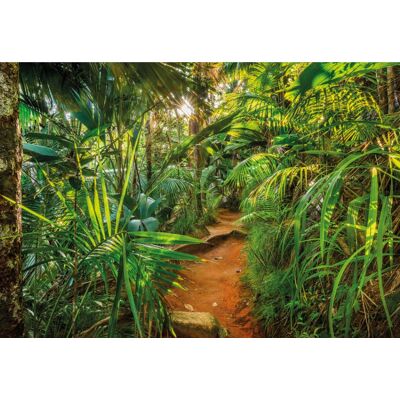 Komar Home; Komar Colours Fotobehang Jungle Trail - 8-989 4036834089894 Behang Komar Home; Komar Colours Fotobehang Jungle Trail - 8-989 4036834089894 Behang