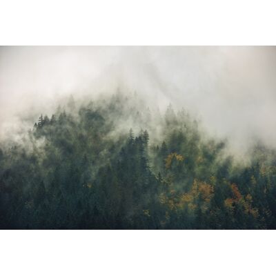 Noordwand Komar Stefan Hefele Fotobehang Tales of the Carpathians - SH036-VD3 4055065110368 Behang Noordwand Komar Stefan Hefele Fotobehang Tales of the Carpathians - SH036-VD3 4055065110368 Behang