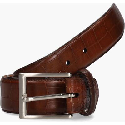 Magnanni 1078 Bruin male Magnanni 1078 Bruin male