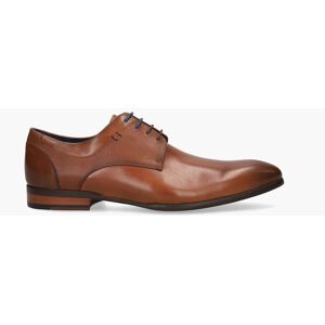 Cypres Tiger Cognac male Cypres Tiger Cognac male
