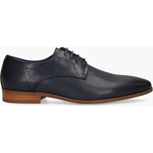 Cypres Taff Donkerblauw male Cypres Taff Donkerblauw male