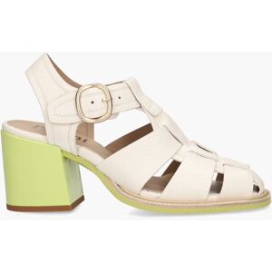 Pertini 32621 Off-White/Groen 37.5 female Pertini 32621 Off-White/Groen 37.5 female