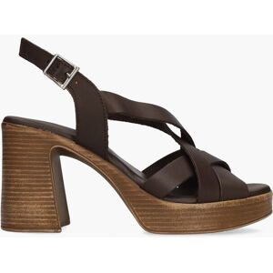 Cypres Oh My Sandals Zoli Donkerbruin 36 female Cypres Oh My Sandals Zoli Donkerbruin 36 female