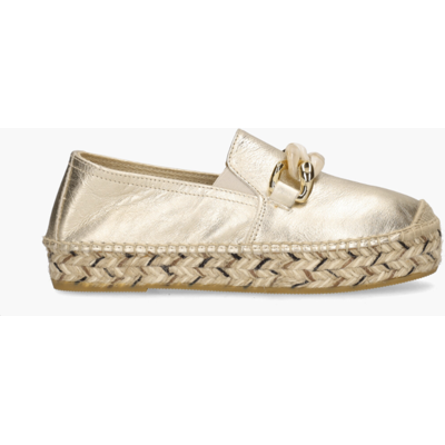 Viguera 2041 Goud 41 female Viguera 2041 Goud 41 female