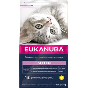 2kg Healthy Start Kitten Eukanuba Kattenvoer 2kg Healthy Start Kitten Eukanuba Kattenvoer