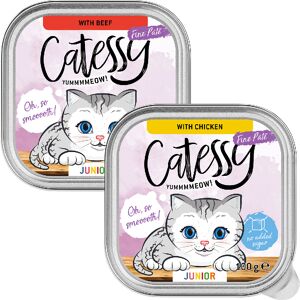 32x 100g Catessy Junior-Paté Mix (2 soorten) nat kattenvoer 32x 100g Catessy Junior-Paté Mix (2 soorten) nat kattenvoer