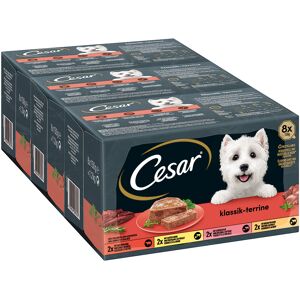 24x150g Cesar Classic Terrine Hondenvoer 24x150g Cesar Classic Terrine Hondenvoer
