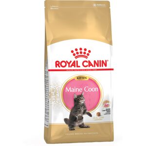 Royal Canin Breed 4kg Maine Coon Kitten Royal Canin Kattenvoer Royal Canin Breed 4kg Maine Coon Kitten Royal Canin Kattenvoer